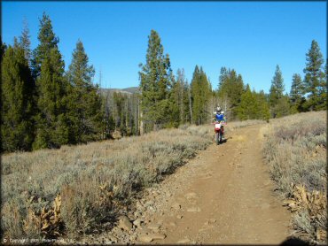 Honda CRF Trail Bike at Billy Hill OHV Route Trail