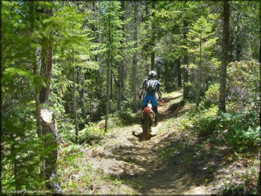 Female rider on a Honda CRF Motorcycle at High Dome Trail