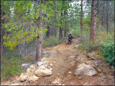 Prosser Hill OHV Area Trail