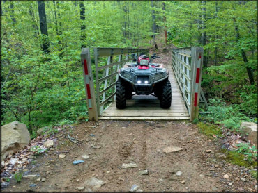 Honda ATV on Bridge in the Woods