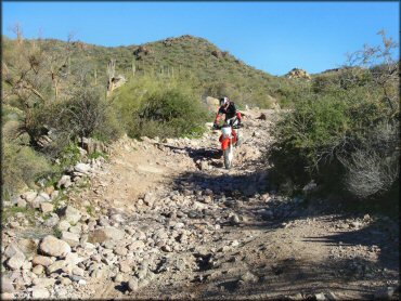 Honda CRF Motorcycle at Bulldog Canyon OHV Area Trail