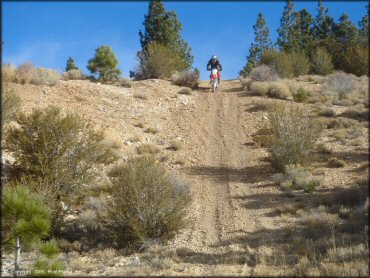 Leviathan Recreation Area Trail