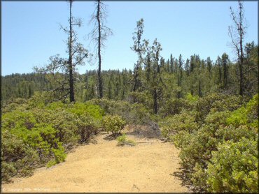 OHV at South Cow Mountain Trail