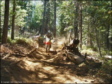 Honda CRF Motorcycle at Elkins Flat OHV Routes Trail