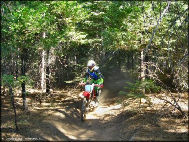 Honda CRF Trail Bike at Elkins Flat OHV Routes Trail