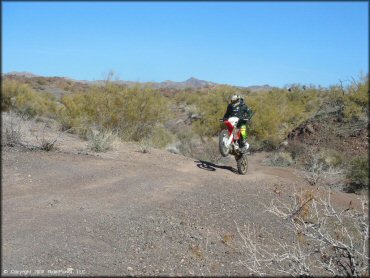 Honda CRF Motorbike floating the front at Standard Wash Trail