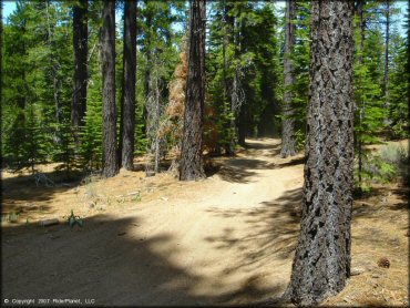 Some terrain at Twin Peaks And Sand Pit Trail