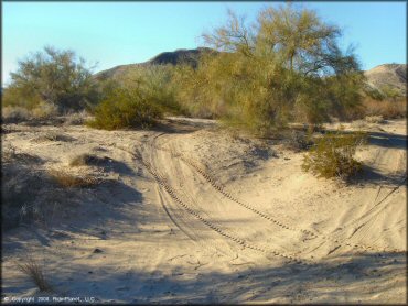 A trail at Ehrenberg Sandbowl OHV Area