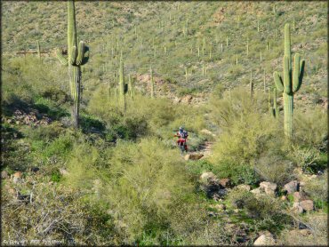 Honda CRF Motorbike at Bulldog Canyon OHV Area Trail