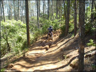 Honda CRF Trail Bike at South Cow Mountain Trail