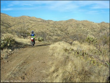 Woman riding a Honda CRF Motorbike at Santa Rita OHV Routes Trail