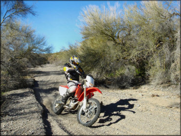 Man wearing black and yellow Thor riding gear on Honda CRF250X dirt bike going through a sandy wash.