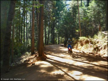 Honda CRF Motorcycle at Miami Creek OHV Area Trail