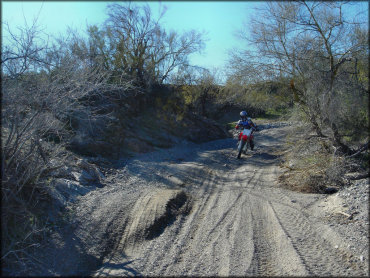 Rider on Honda CRF150R dirt bike riding through a wide sandy wash.