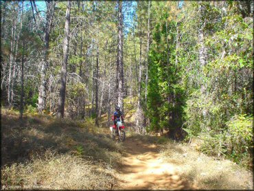 Honda CRF Motorcycle at Georgetown Trail