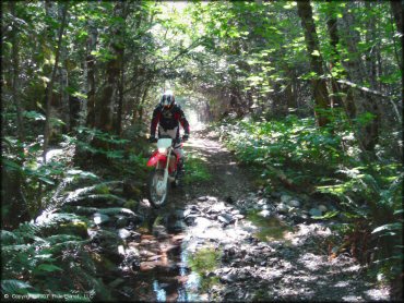 Honda CRF Dirt Bike traversing the water at Lubbs Trail