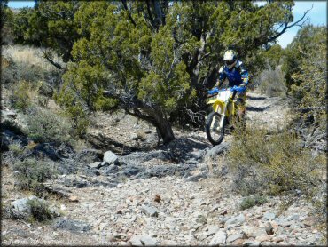 OHV at Chief Mountain OHV Area Trail