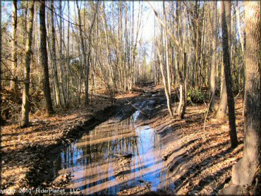 Example of terrain at Big Nasty ATV Park OHV Area