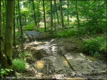 Terrain example at Tall Pines ATV Park Trail