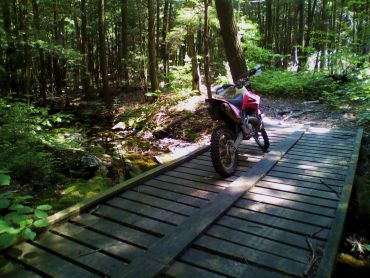 Tolland State Forest Trail