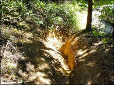 Low Pass Trail