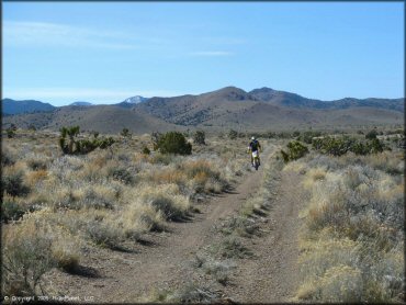 OHV at Chief Mountain OHV Area Trail