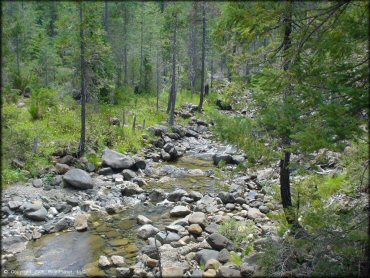 Scenic view of shallow stream flowing over river rocks surrounded by pine trees.