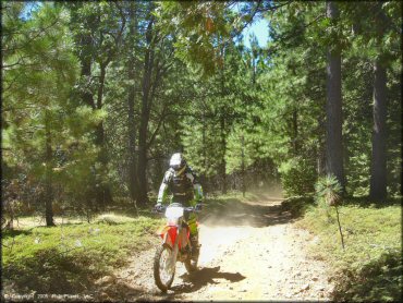 Honda CRF Motorcycle at Gold Note Trails