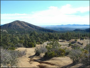 Scenery at Alto Pit OHV Area Trail