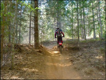 Honda CRF Dirt Bike at Georgetown Trail