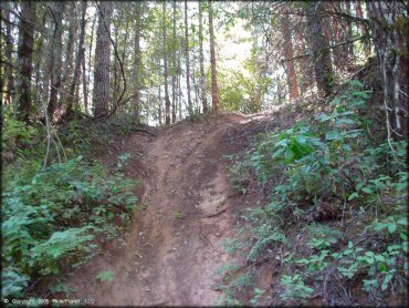 Some terrain at Low Pass Trail