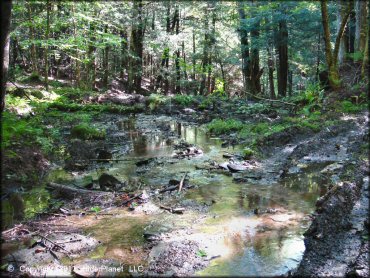 Example of terrain at Camden ATV Trail