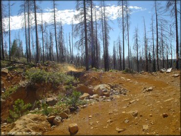 View of hardpacked trail with loose chunk rock.