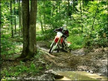 Honda CRF Dirt Bike at Tall Pines ATV Park Trail