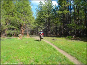Honda CRF Dirtbike doing a wheelie at Bull Ranch Creek Trail