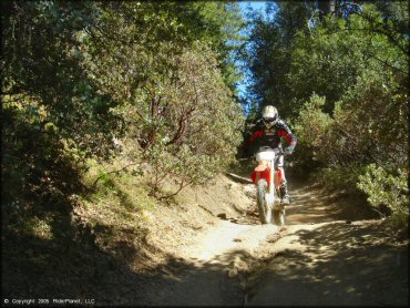 Honda CRF Trail Bike at Miami Creek OHV Area Trail