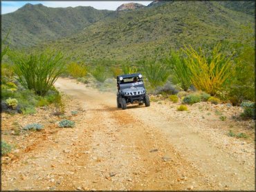 Hualapai ATV Trail