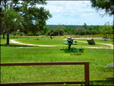 Campsite with picnic tables and fire ring next to mature oak tree.