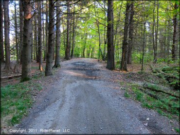 Some terrain at Pittsfield State Forest Trail