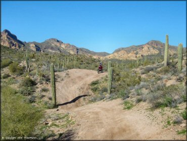 Honda CRF Dirt Bike at Bulldog Canyon OHV Area Trail