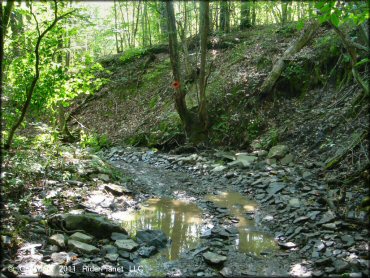 Example of terrain at Tall Pines ATV Park Trail