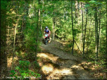 OHV at Freetown-Fall River State Forest Trail