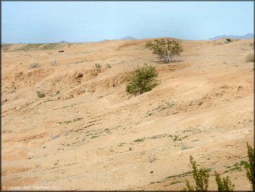 Example of terrain at Thornton Pits Trail