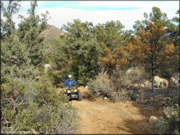 OHV at Sheridan Mountain Smith Mesa OHV Trail System