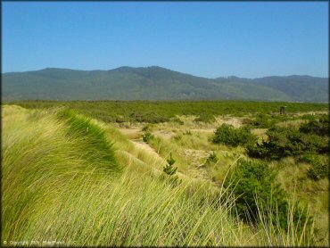 Scenic view at Sand Lake Dune Area