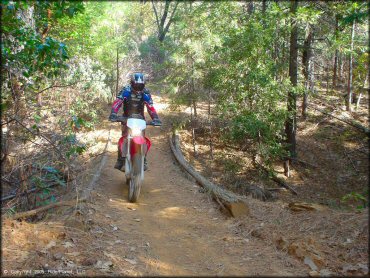 Honda CRF Motorcycle at Georgetown Trail