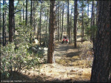 OHV at Alto Pit OHV Area Trail