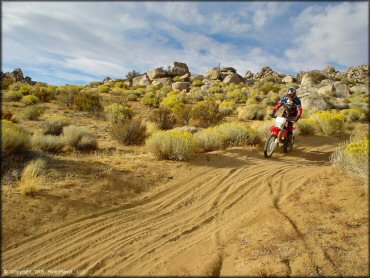 Honda CRF Motorcycle at Fort Sage OHV Area Trail