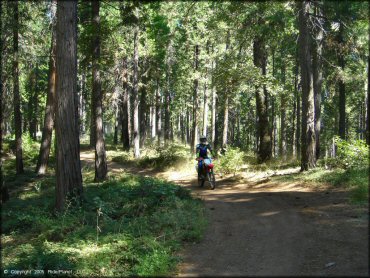 Honda CRF Motorcycle at Miami Creek OHV Area Trail