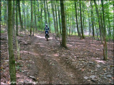 Honda CRF Motorcycle at Tall Pines ATV Park Trail